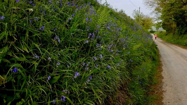 20190430_172433 copy.jpeg