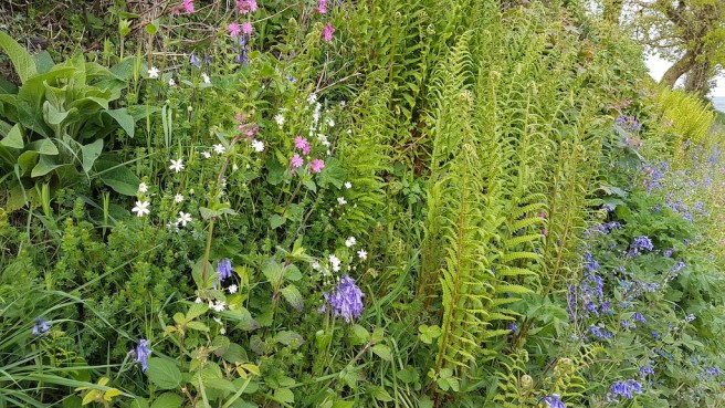 20190430_172604 copy.jpg