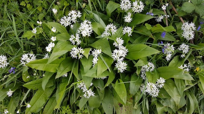 20190430_172846 copy.jpg