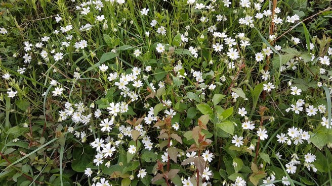 20190430_172851 copy.jpg