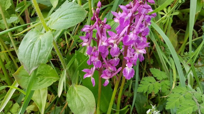 20190430_175344 copy.jpg