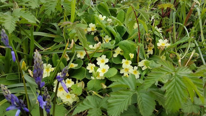 20190430_175519 copy.jpg