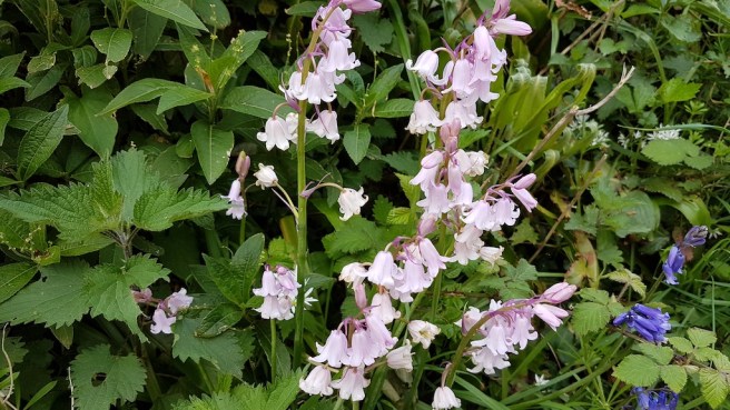 20190430_180405 copy.jpg