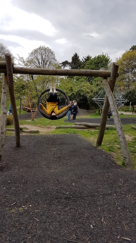 20190505_134845 copy.jpg