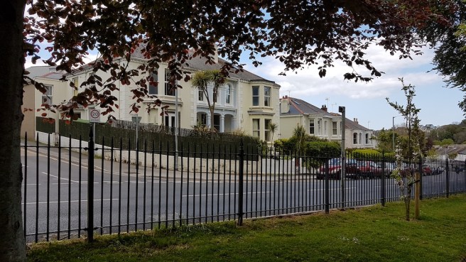 20190505_135035 copy.jpg