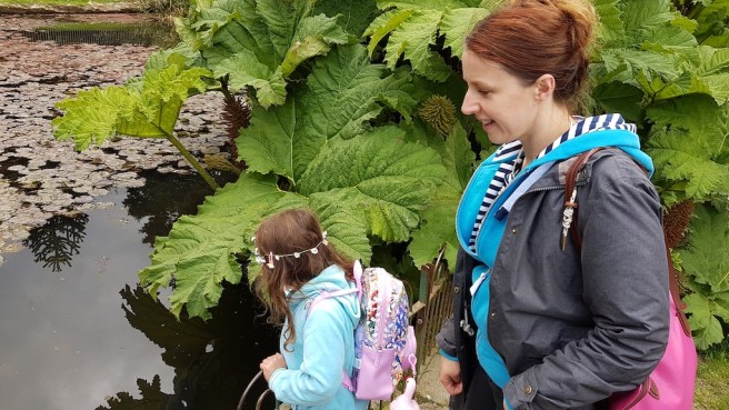 20190505_135142 copy.jpg