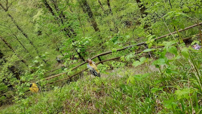 20190506_143408 copy.jpeg