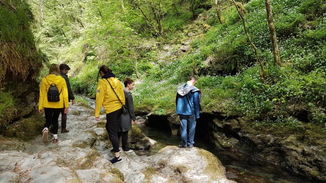 20190506_145324 copy.jpg