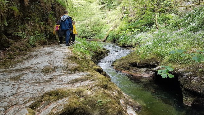 20190506_145354 copy.jpg