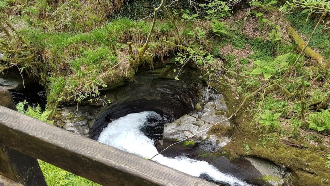 20190506_151704 copy.jpg