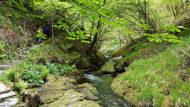 20190506_152350 copy.jpg