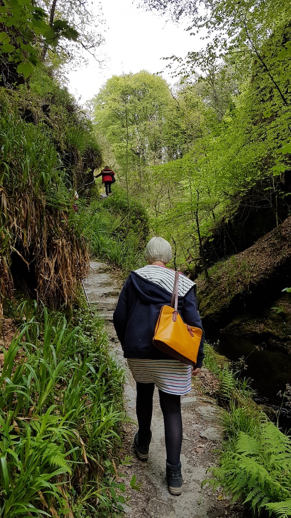 20190506_153118 copy.jpg