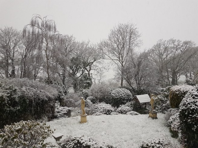 20190131_162907 copy.jpg