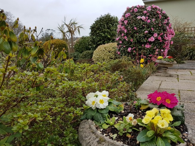 20190220_144243 copy.jpg