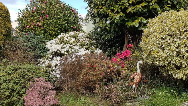 20190403_120310 copy.jpg