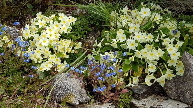 20190403_120318 copy.jpg