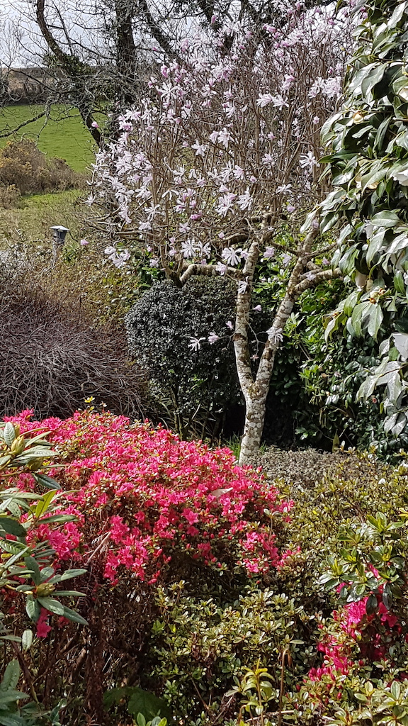 20190403_120342 copy.jpg