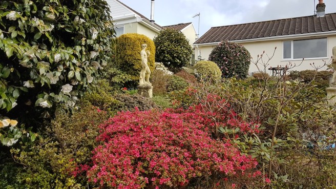 20190403_120423 copy.jpg