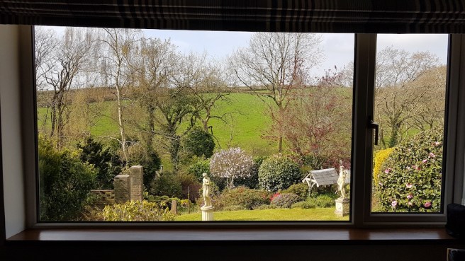 20190410_111521 copy.jpg