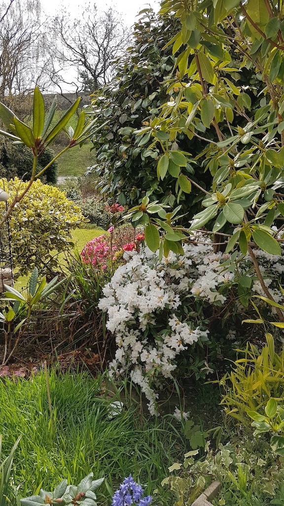 20190412_153449 copy.jpg