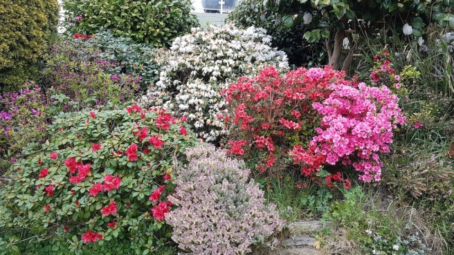 20190423_153326 copy.jpg