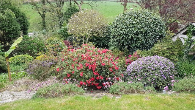 20190423_153335 copy.jpg