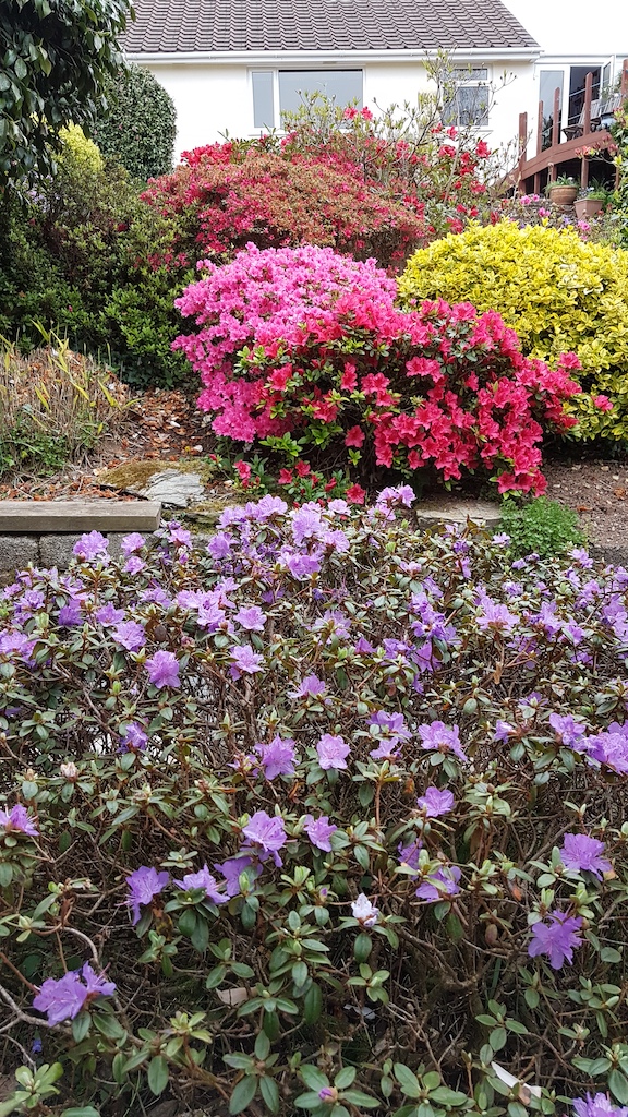 20190423_153450 copy.jpg