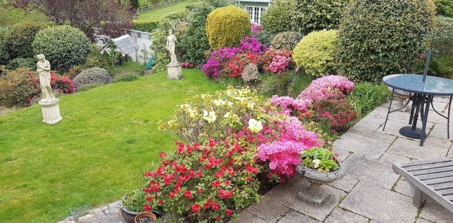 20190502_142325 copy.jpeg