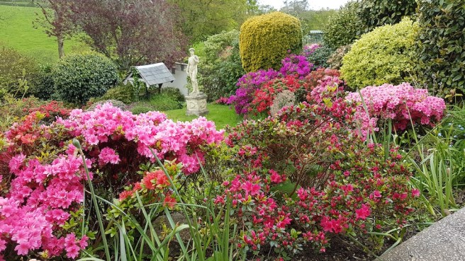 20190502_142436 copy.jpg