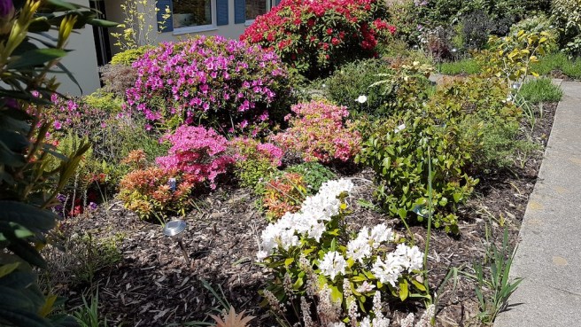 20190511_123322 copy.jpg