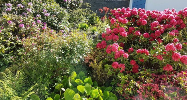 20190513_101704 copy.jpeg