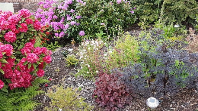 20190518_105509 copy.jpg