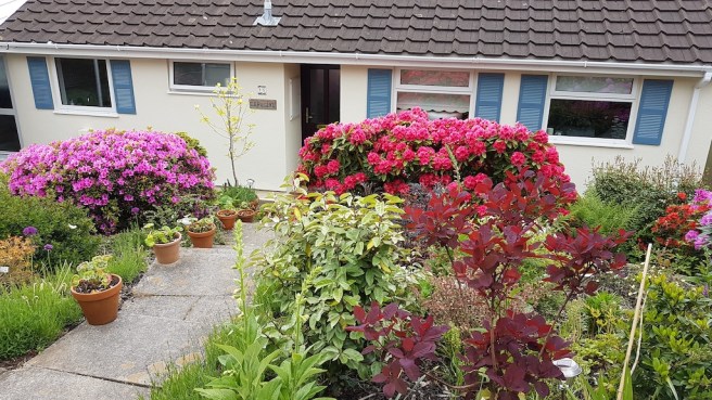 20190518_105608 copy.jpg