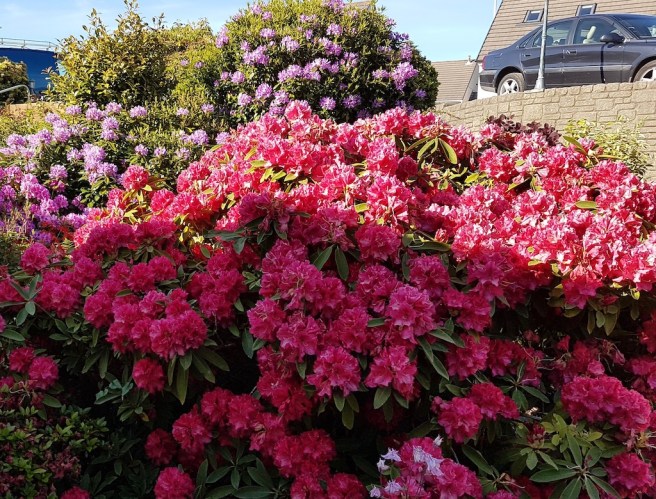 20190519_175620 copy.jpeg