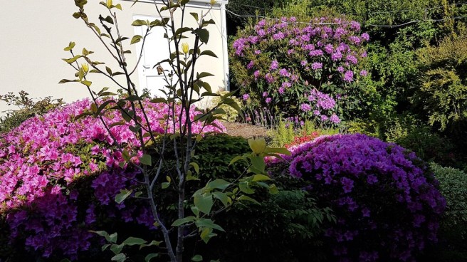 20190519_175628 copy.jpeg