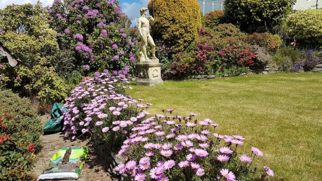 20190520_120541 copy.jpg