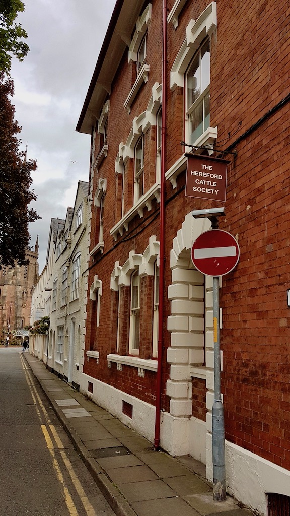 20190617_142221 copy.jpeg