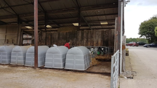 20190618_172231 copy.jpg