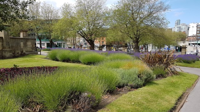 20190620_112958 copy.jpg