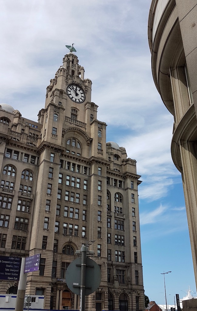 20190620_115113 copy.jpeg