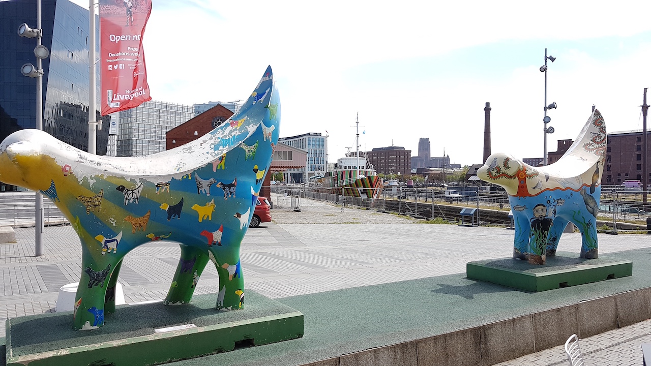 20190620_121427 copy.jpg