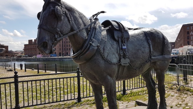 20190620_121834 copy.jpg