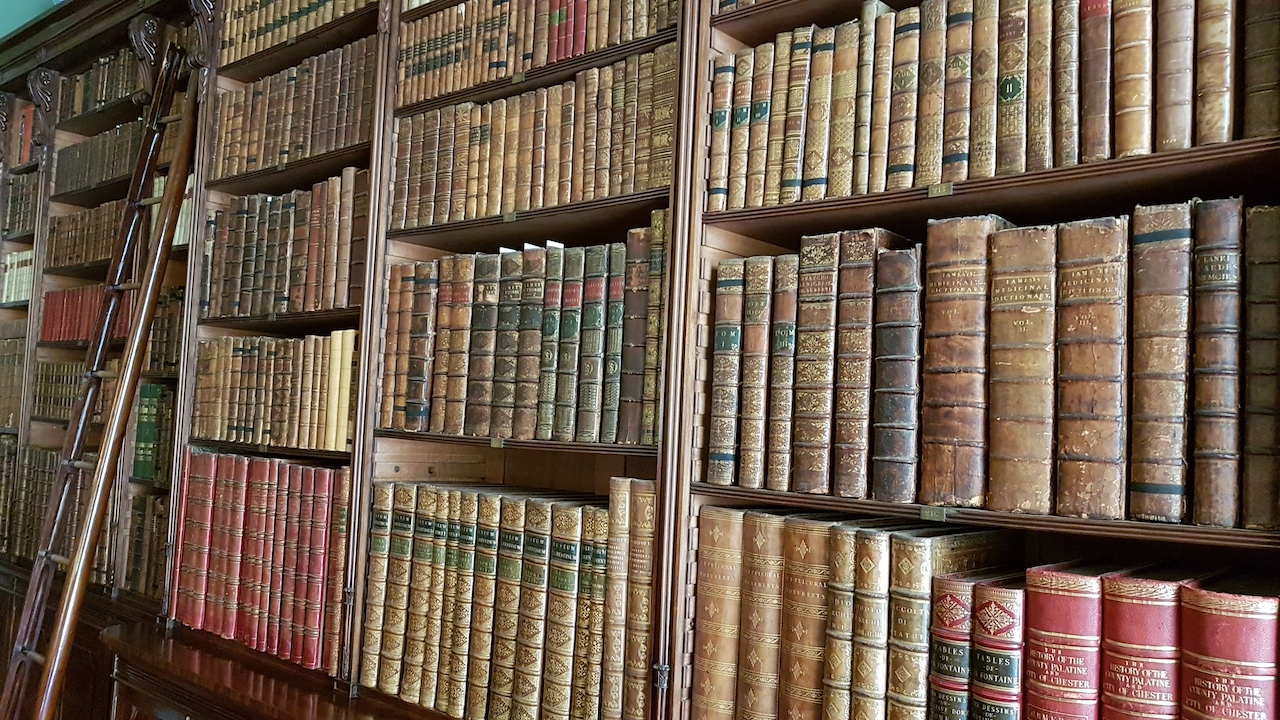 20190621_152927 copy.jpg