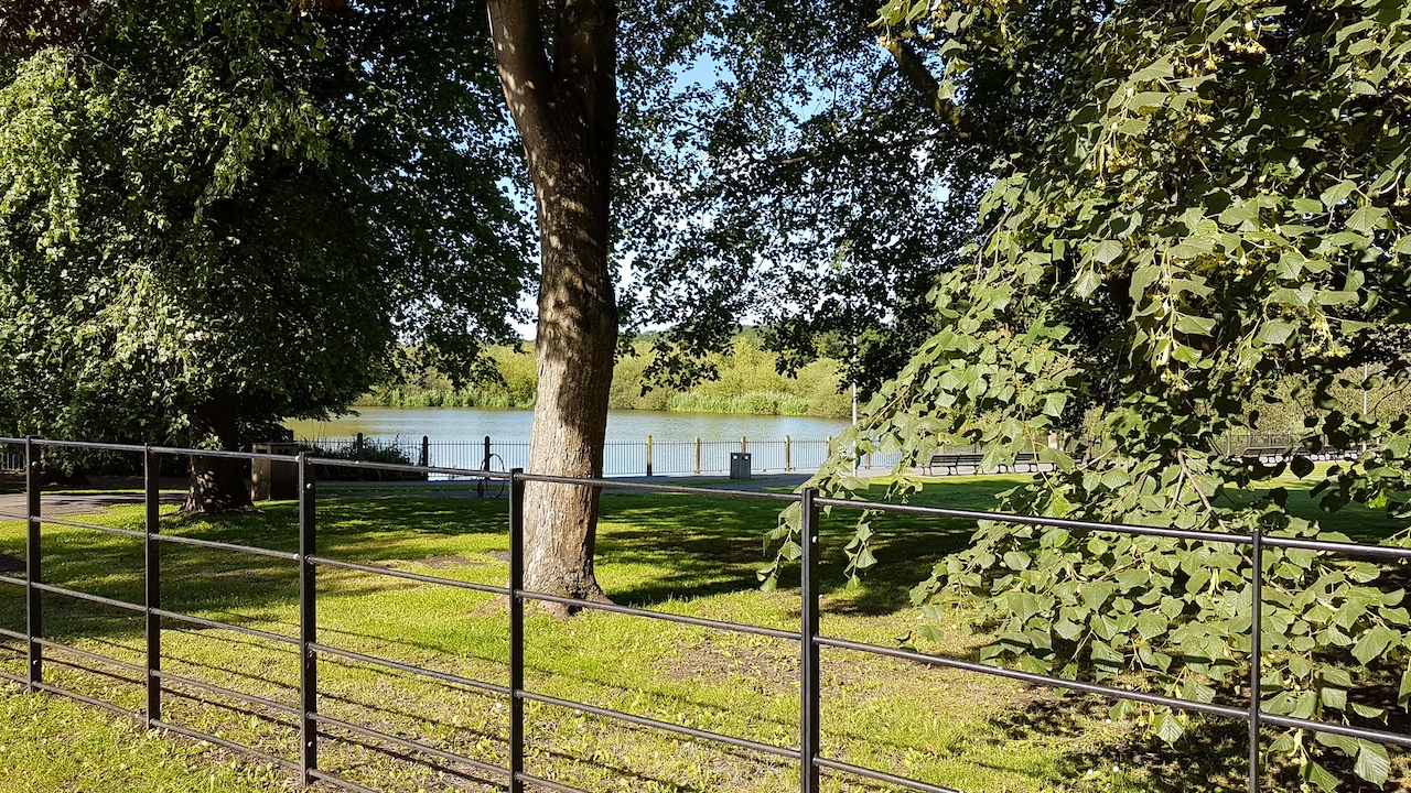 20190621_173613 copy.jpg