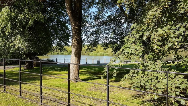 20190621_173613 copy.jpg