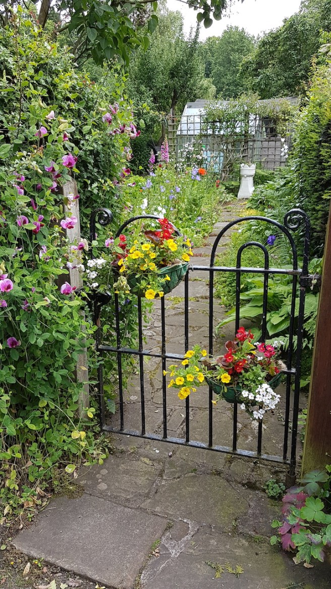 20190623_123509 copy.jpg