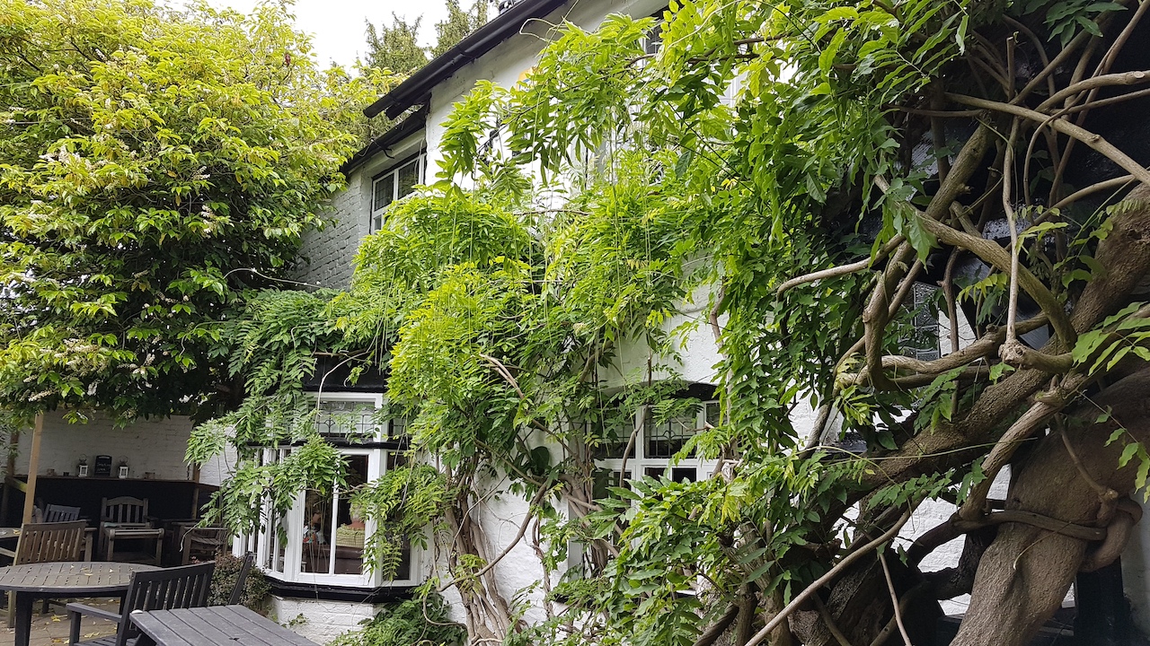 20190623_140435 copy.jpg