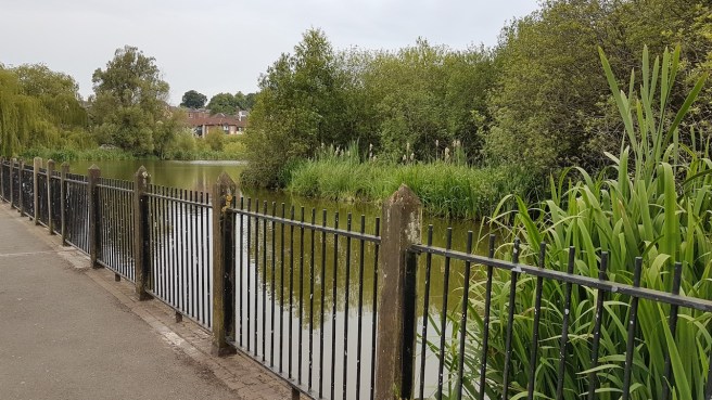 20190623_160113 copy.jpg