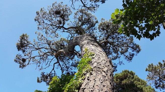 20190703_163624 copy.jpg