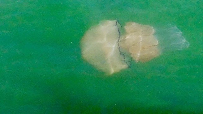 20190703_165421 copy.jpeg